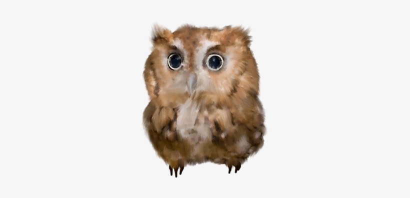 Horned Owl Png - Owl, transparent png download