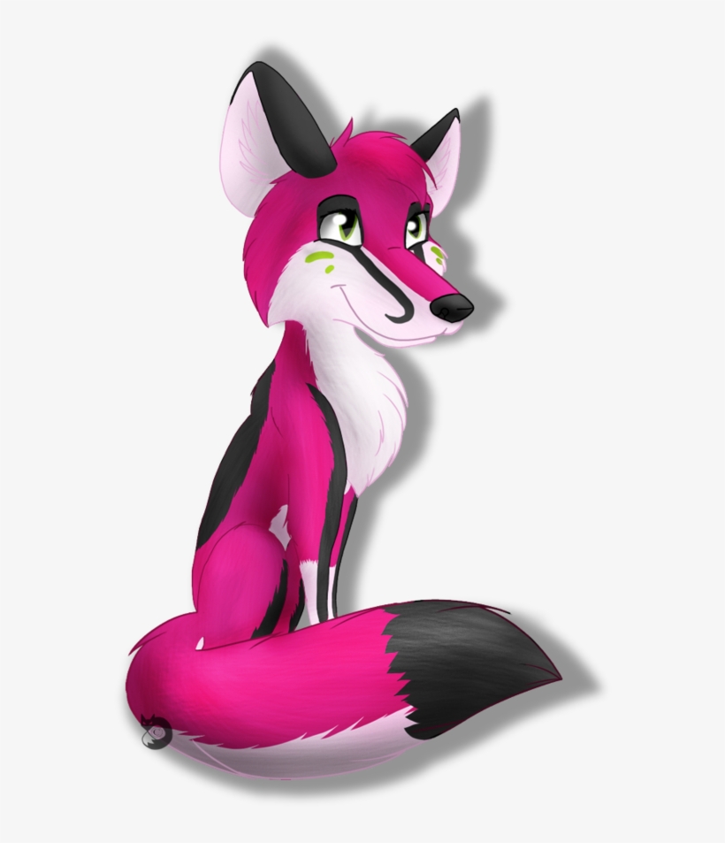 Fox 🦊, transparent png download
