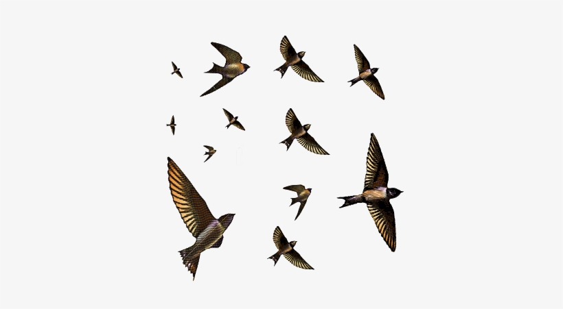 Free Vector Art, Flock Of Birds, Psp, Flocking, Vector - Flock Of Swallows, transparent png download