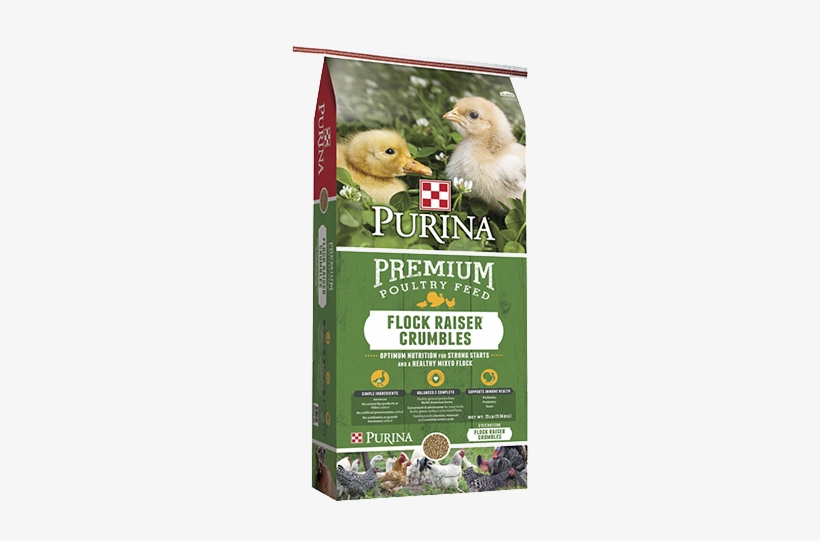 Image Flock Raiser Crumbles Bag Purina Animal Nutrition Flock Raiser