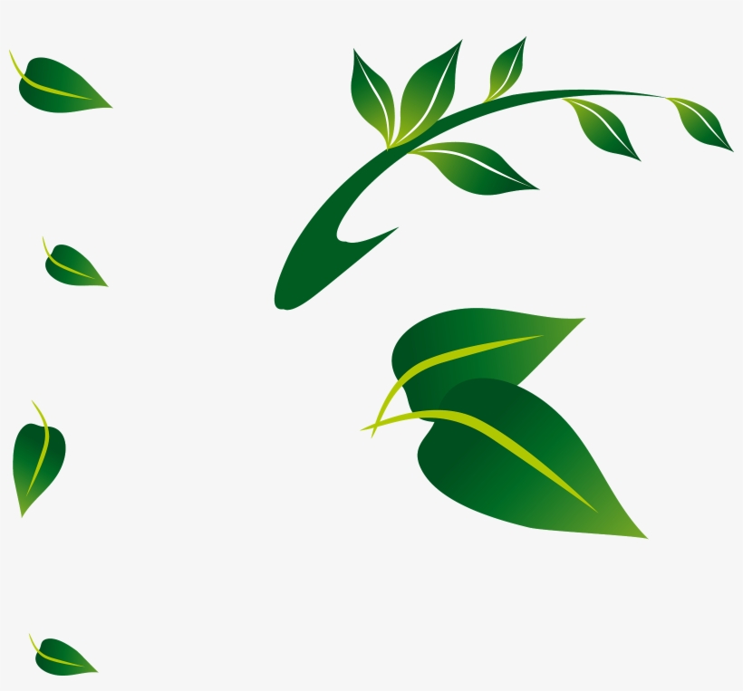 Leaves Floral - Floral Leaf Png, transparent png download