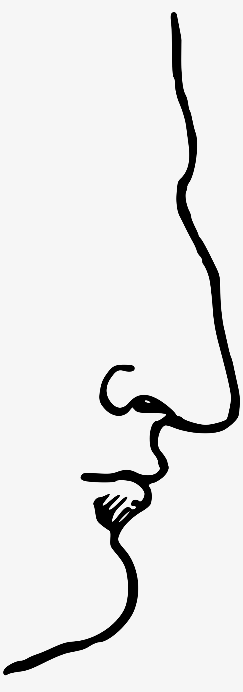 Roman Nose Png - Aquiline Nose, transparent png download