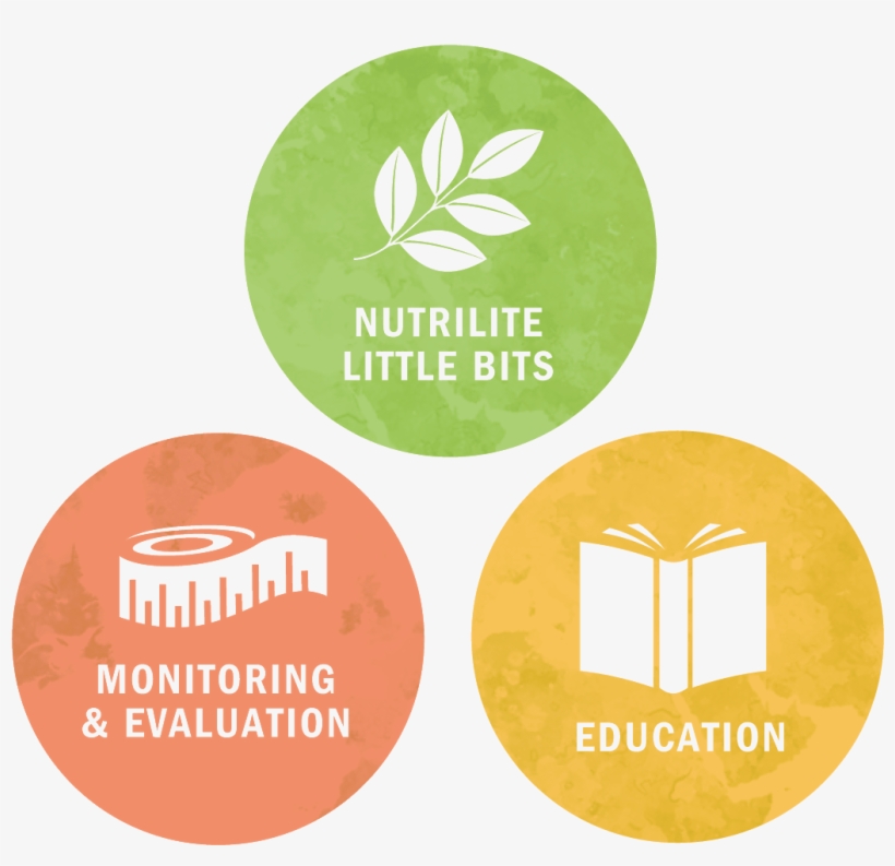 Amway Impact Report Partnerships V2 - Partnership, transparent png download