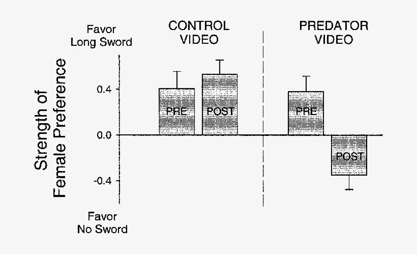 Strength Of Female Response For The Long-sword Male - Diagram, transparent png download