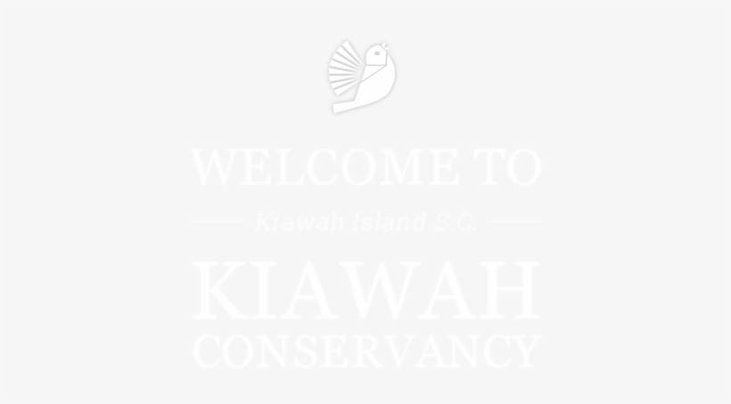 Welcome - Church Of The Annuciation Of The Virgin Mary, transparent png download