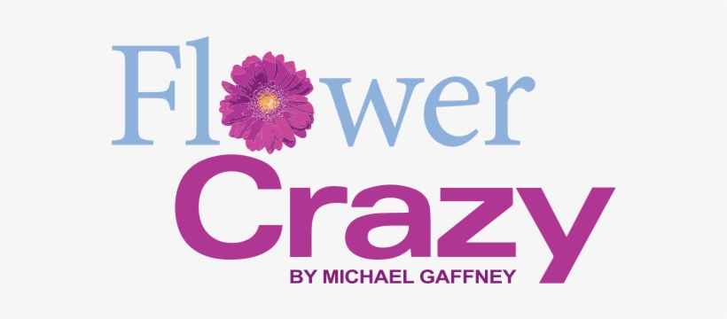 Flower Crazy By Michael Gaffney - Love Is Forever, transparent png download