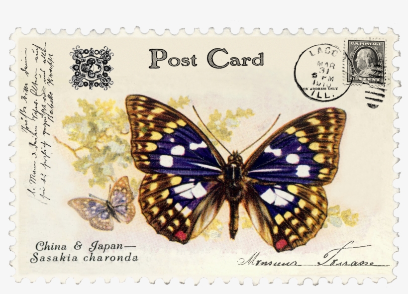8 Matjuno Vintage Butterfly Postage Stamp 8 Juno Vintage - Large Butterfly Color Enamel Decals, transparent png download