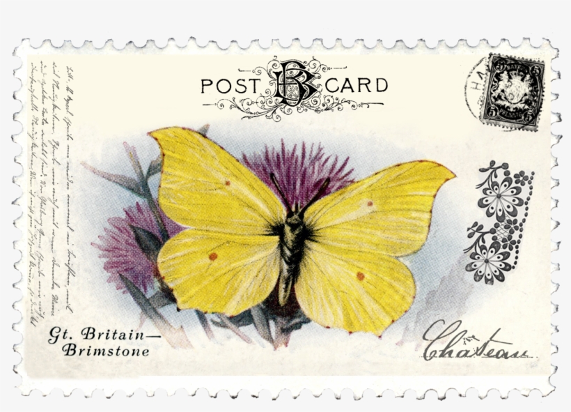 Juno Ccrl A Fine Thingdoodles076 Copyjuno Vintage Butterfly - Georgetown, transparent png download
