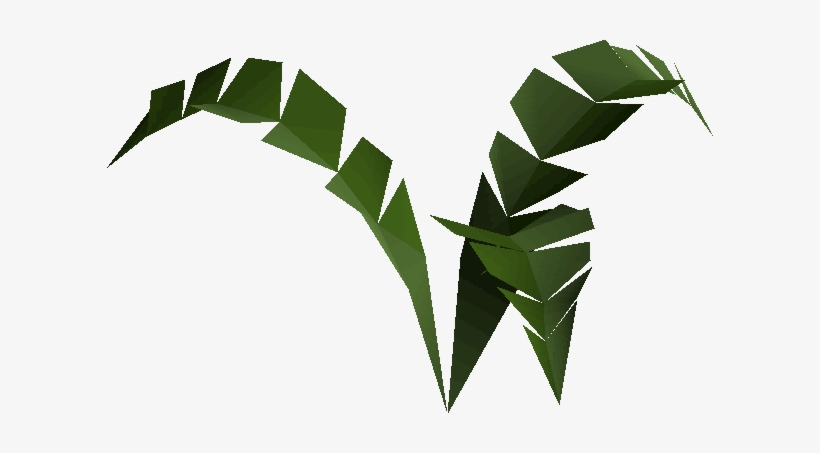 Small Fern Built - Wiki, transparent png download