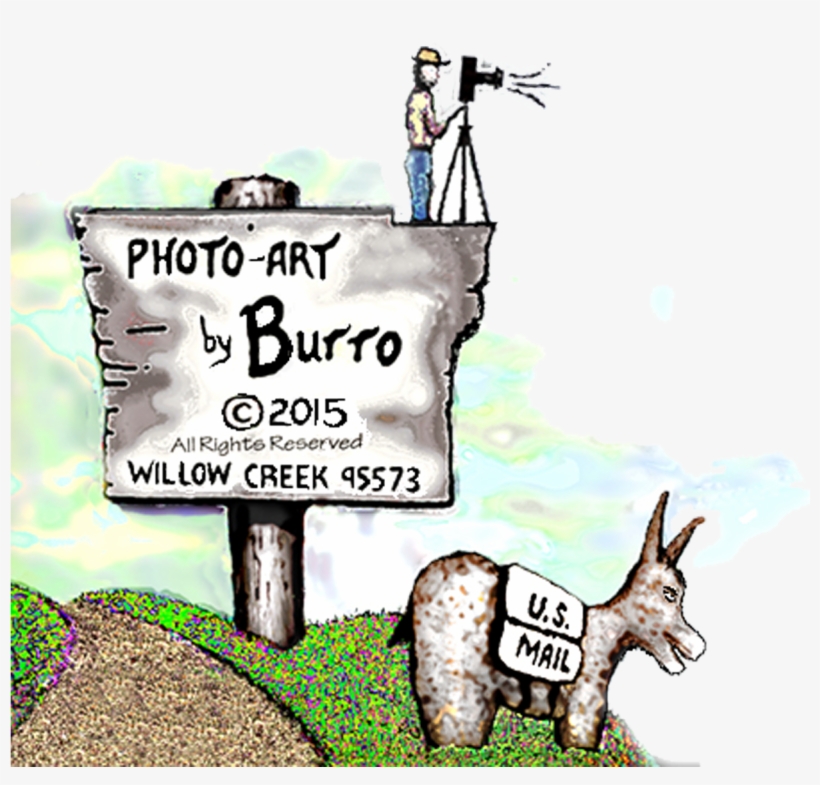 Photo-art By Burro - Cartoon, transparent png download