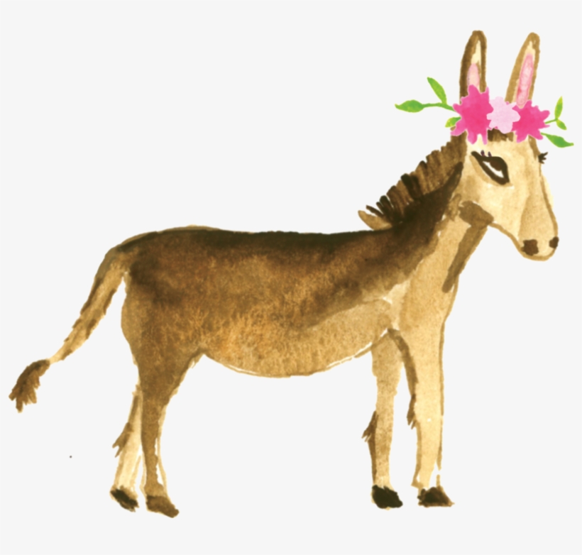 Burro - Animais Do Pampas Png, transparent png download