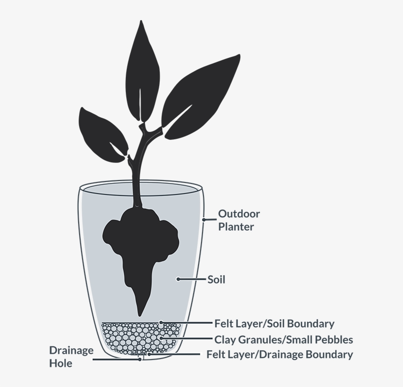 Outdoor Planting - Fruit, transparent png download