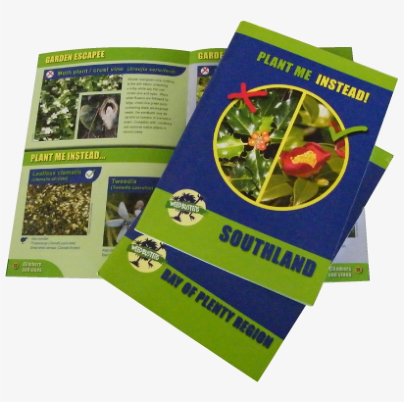 Many Of The Weedy Species That Are Invading And Damaging - Grass, transparent png download
