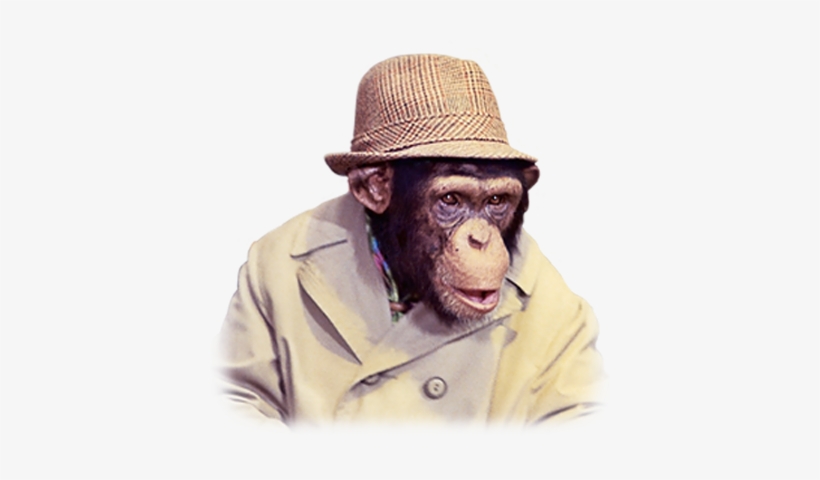 Lancelot Link Secret Chimp Monkey See Monkey Do, Monkey - Tv Show With Chimpanzees, transparent png download
