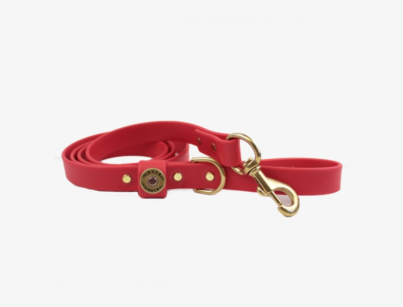 Over Under Water Dog Leash - Dog, transparent png download