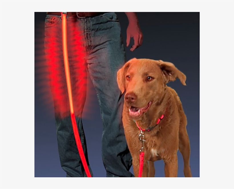 Glow Dog Leash - Nite Ize - Nite Dawg Pet Leash - Red Led, transparent png download
