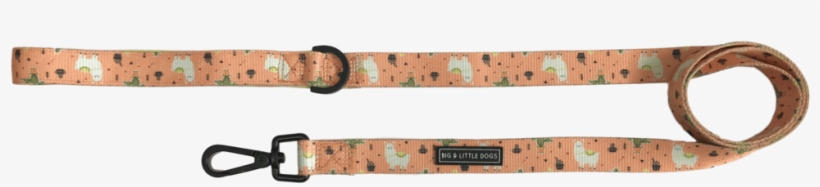 Dog Leash For Big And Small Dogs Mexicali Mexican Llamas - Dog, transparent png download