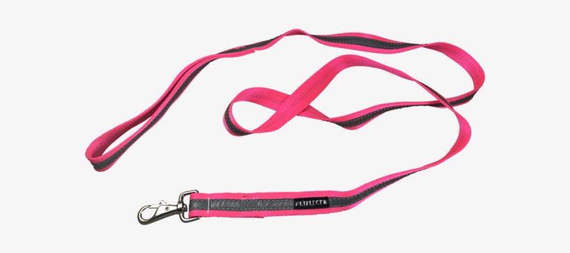 Bite Proof/no Chew Dog Leash - Leash, transparent png download