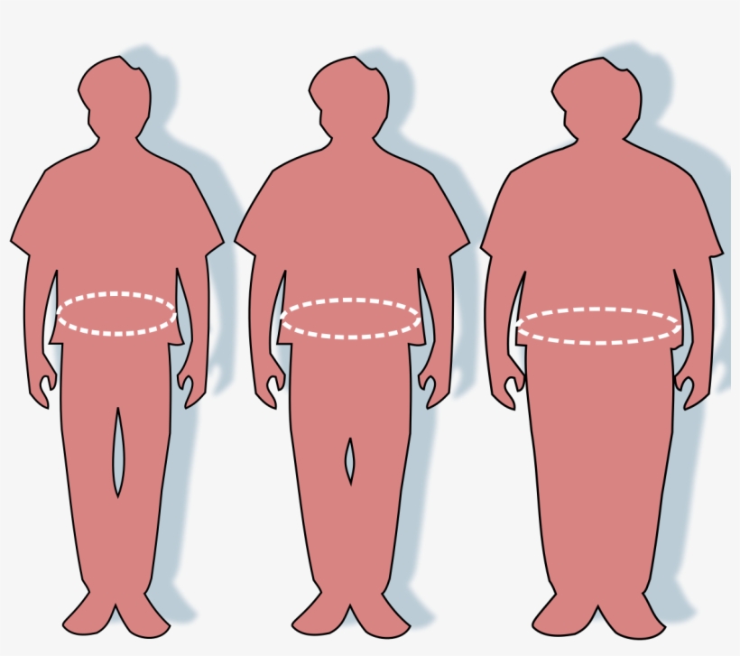 Natriuretic Peptides May Be The Key To Turning Unhealthy - Waist Circumference Clip Art, transparent png download