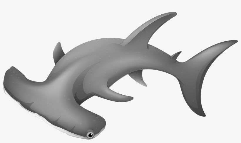 Hammerheadshark Png Clipart - Clip Art Hammerhead Shark Png, transparent png download