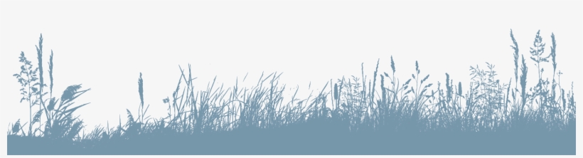 Join The Boat Club Newsletter - Grass, transparent png download