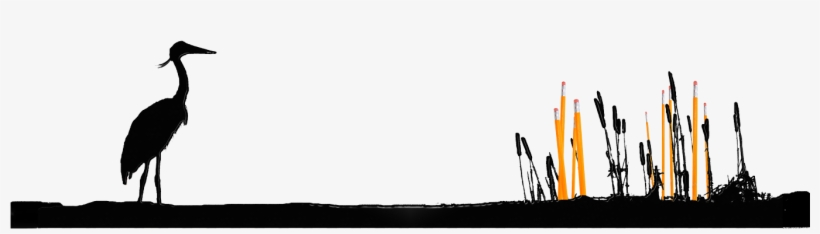 Reeds - Great Blue Heron, transparent png download