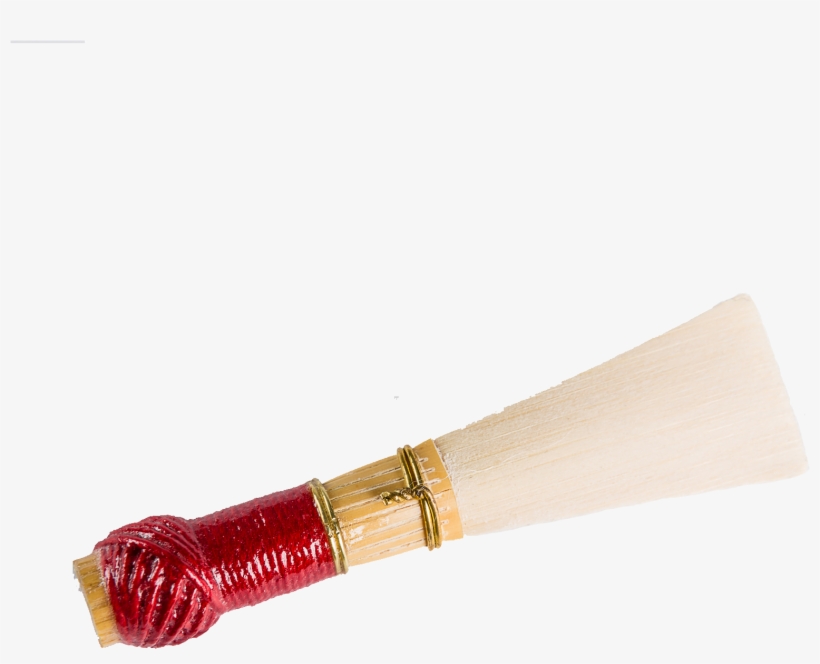 Aya Reeds - Soft - Raksha Bandhan, transparent png download