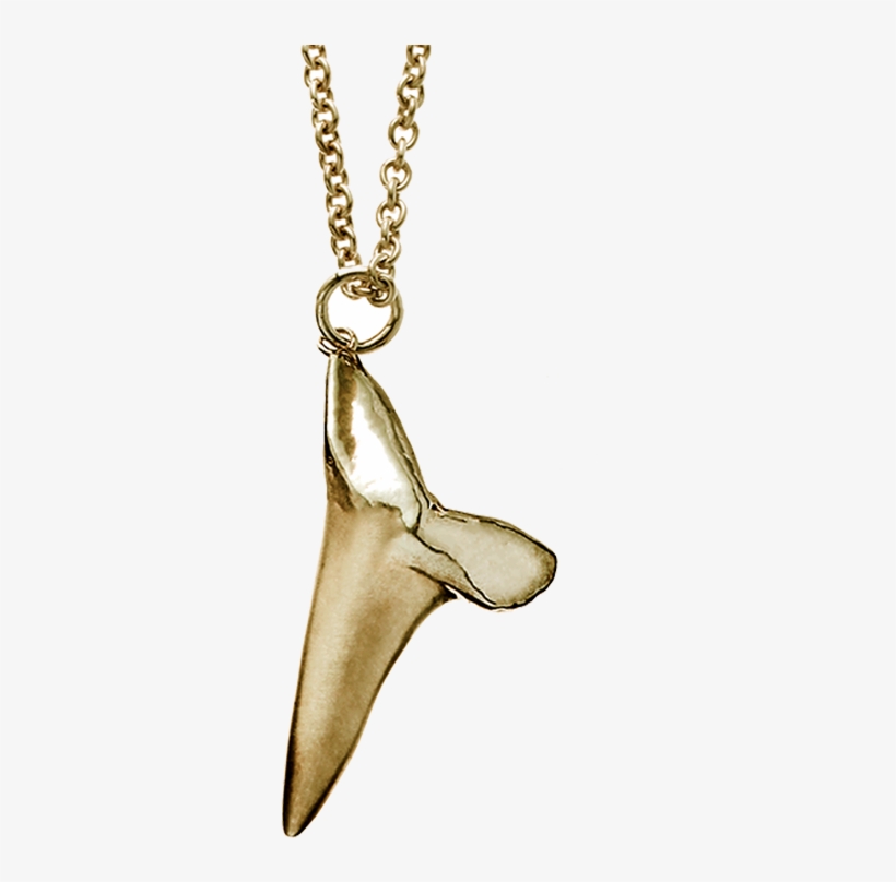Free Rapper Gold Chain Png - Shark Tooth Necklace Png, transparent png download