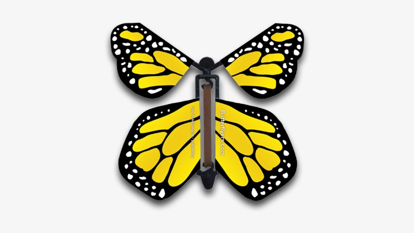 Yellow Rose Wind Up Flying Butterfly - Flying Butterfly Card, transparent png download