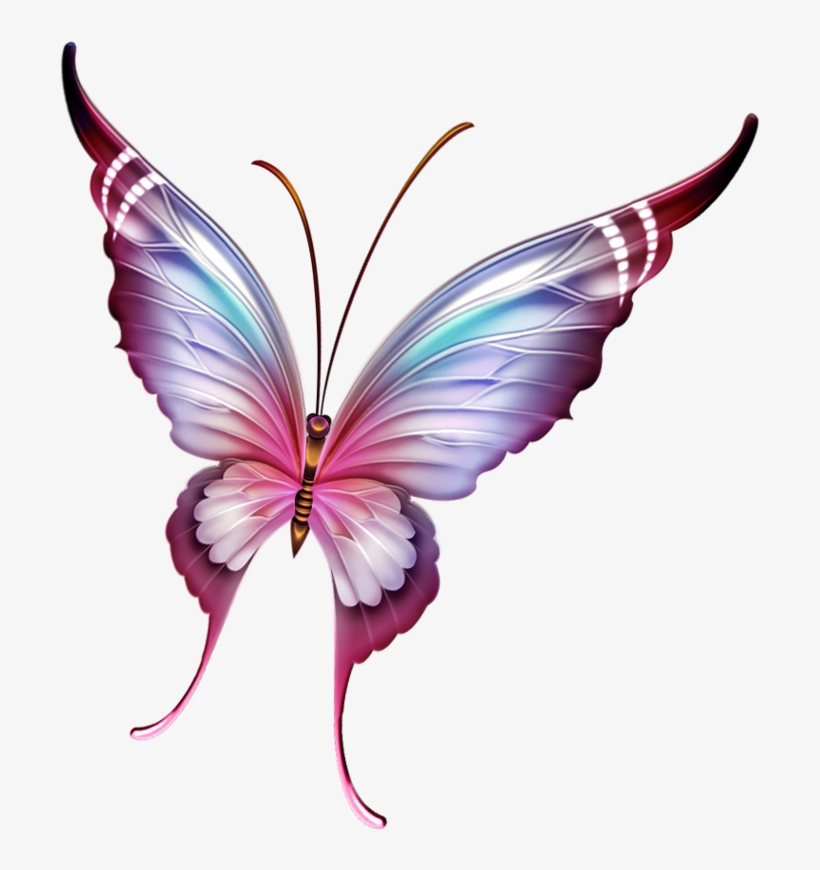 ‿✿⁀butterflies‿✿⁀ Butterfly Pattern, Beautiful Butterflies, - Punto De Cruz De Boda, transparent png download