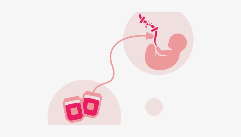 What Is Cord Blood - Cord Blood, transparent png download