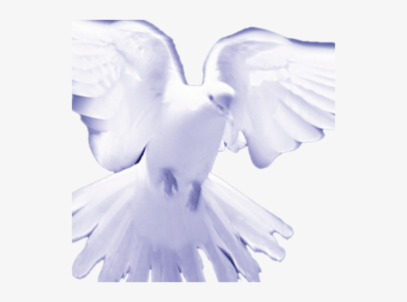 The Holy Spirit In Me - "lord, Giver Of Life", transparent png download
