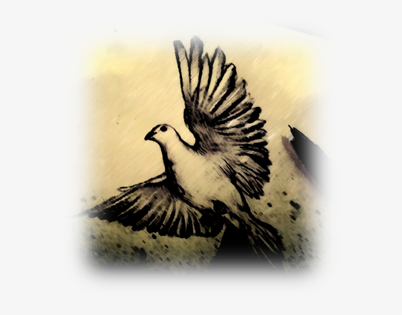 The Ministry Of The Holy Spirit Part Ii - Rallidae, transparent png download