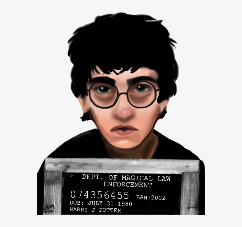 Lace Wig, transparent png download