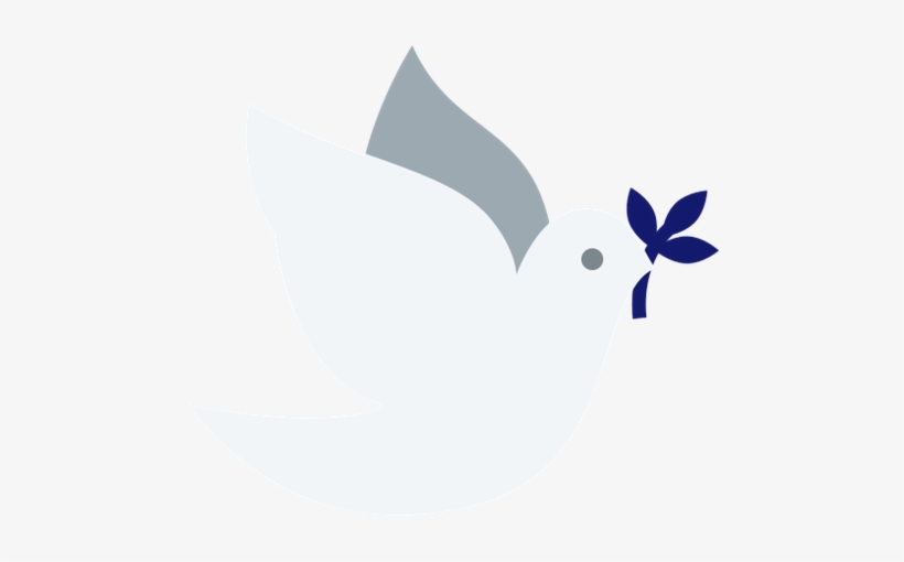 Our Interaction With Students, Families, Co-workers - Dove, transparent png download