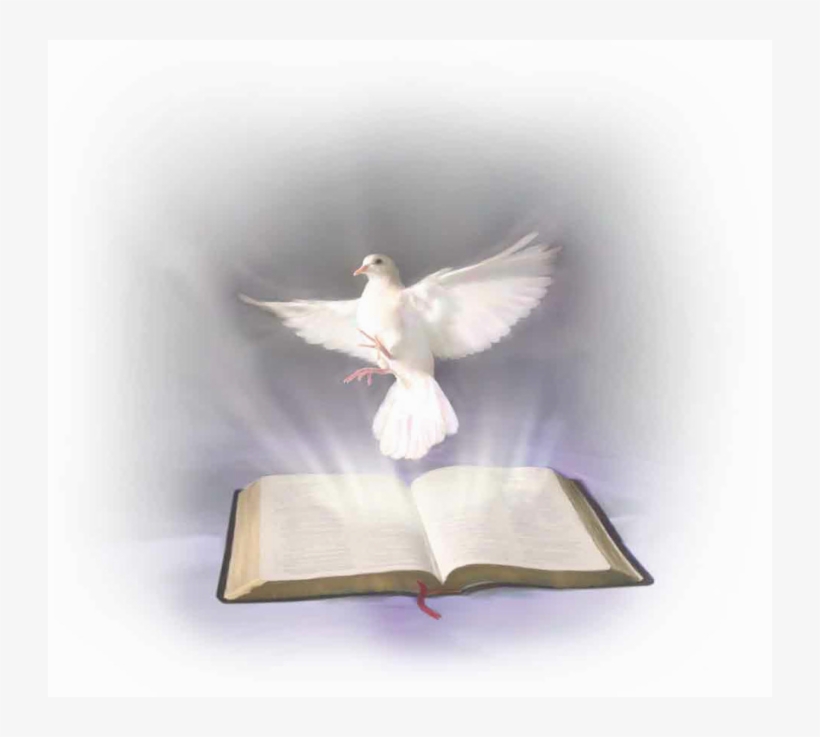 History Of Holy Spirit Church Compiled By Larry Ebsch - Holy Spirit And Bible Png, transparent png download