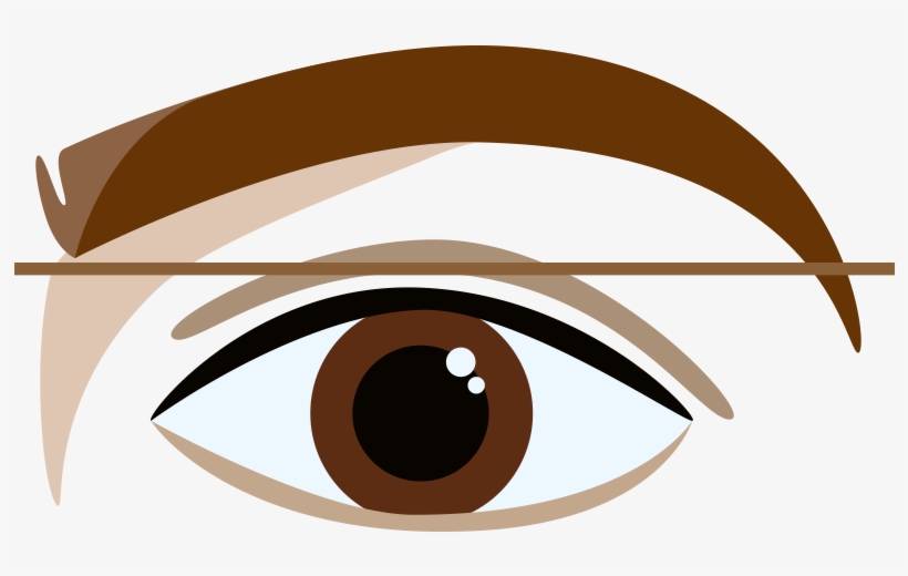 Over-extended Brow - Eyebrow, transparent png download