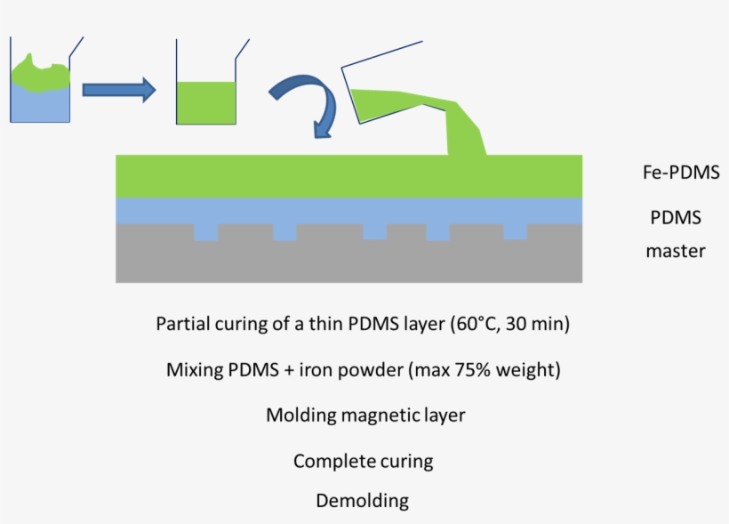 Protocol For Magnetic Stamp - Postage Stamp, transparent png download