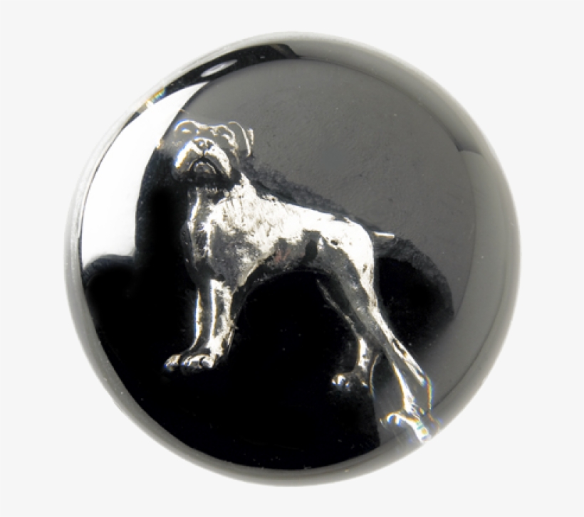 Dog Walking Stick - Canes & Walking Sticks, transparent png download