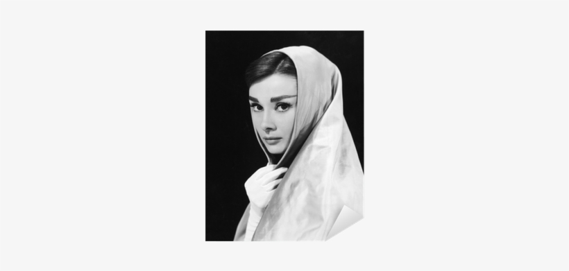 Hollywood Collection: Volume 2, transparent png download