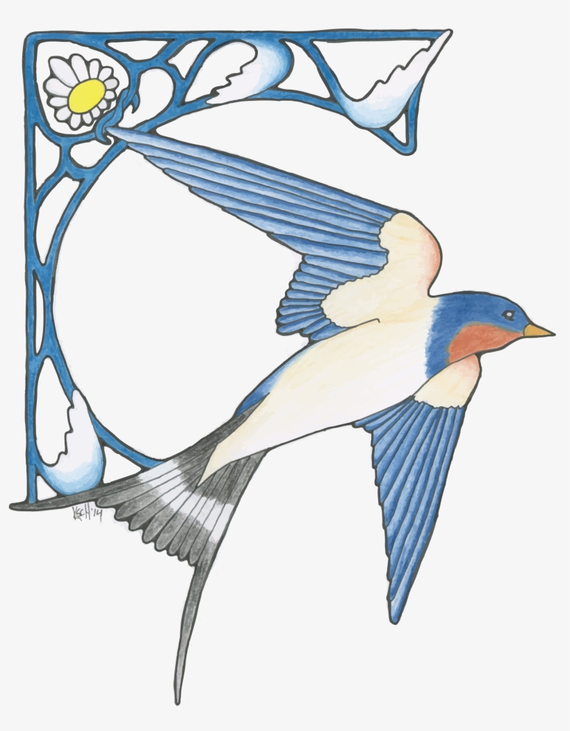 European Swallow, transparent png download