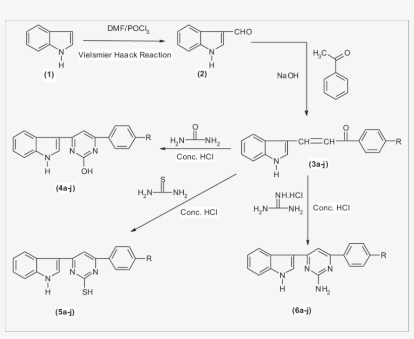 Synthesis Of Bioactive Molecules - Phenol Derived Calix Gutsche, transparent png download