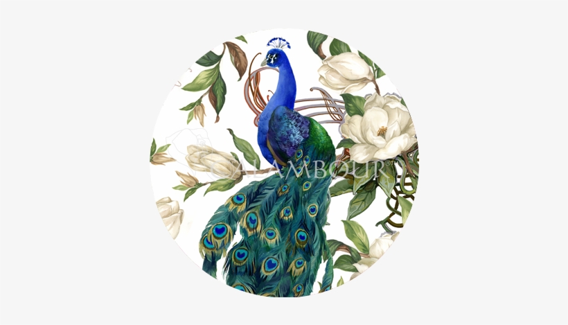 View Larger Image - Peafowl, transparent png download