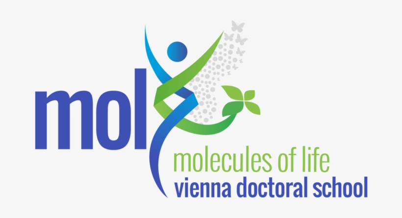 Mission And Aims - Graphic Design, transparent png download