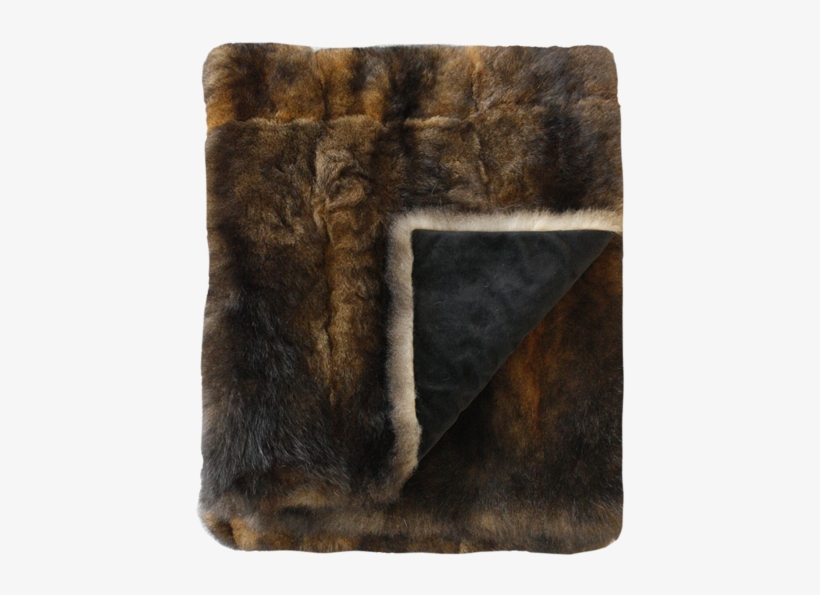 Larger Imagemove - Common Brushtail Possum, transparent png download