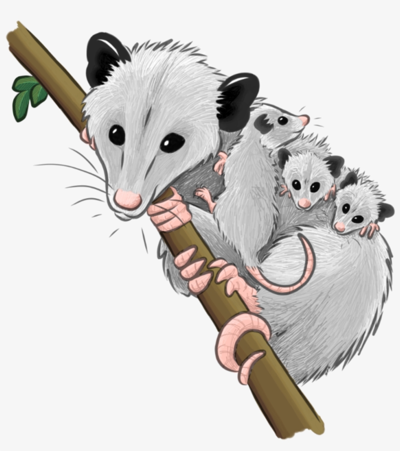 Registration - Cat Grabs Treat, transparent png download