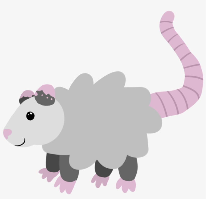 “here Is The Opossum Of Purity, For Any Purification - Opossum, transparent png download