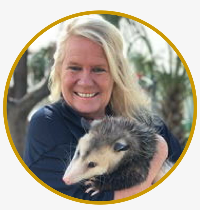 Phstaff Members - Marry Diddle - Virginia Opossum, transparent png download