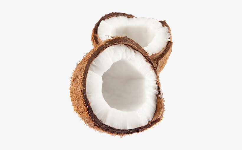 Fruit Png - Coconut, transparent png download