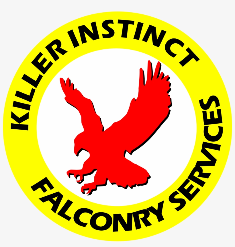 Ki Falconry - Tudela National Comprehensive High School Logo, transparent png download
